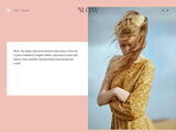 Blow Website Screenshot