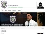 Ilarchos Security Website Screenshot