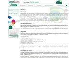 AccountsTech Solutions Website Screenshot