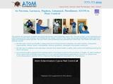 Atom Website Screenshot