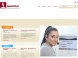The Cyprus College Website Screenshot