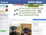 Dog Valley Rescue Center Website Screenshot