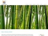 Xenatus Global Website Screenshot
