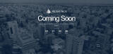 AuditAce Website Screenshot