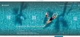 Amavi Hotel Website Screenshot