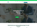 WizAce Accounting Website Screenshot
