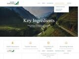 Alexis Demetriou Co Website Screenshot