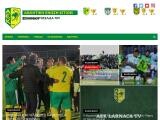AEK Larnaca FC Website Screenshot