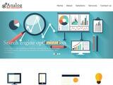 Analog Web Solutions Website Screenshot